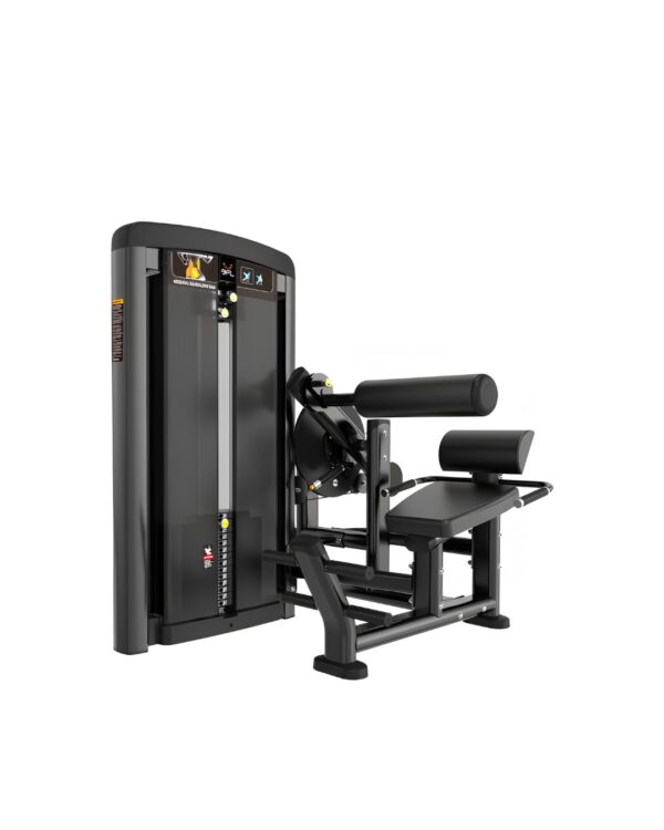 MS ABDOMINAL