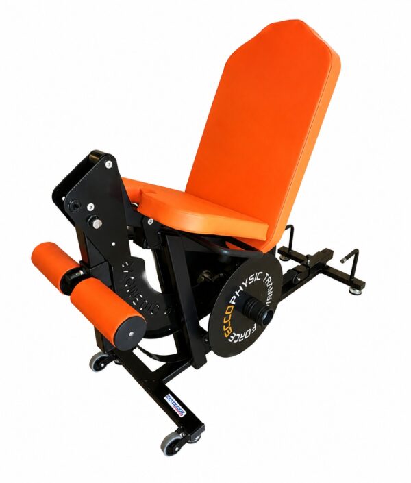 Eccoknee Training Force®